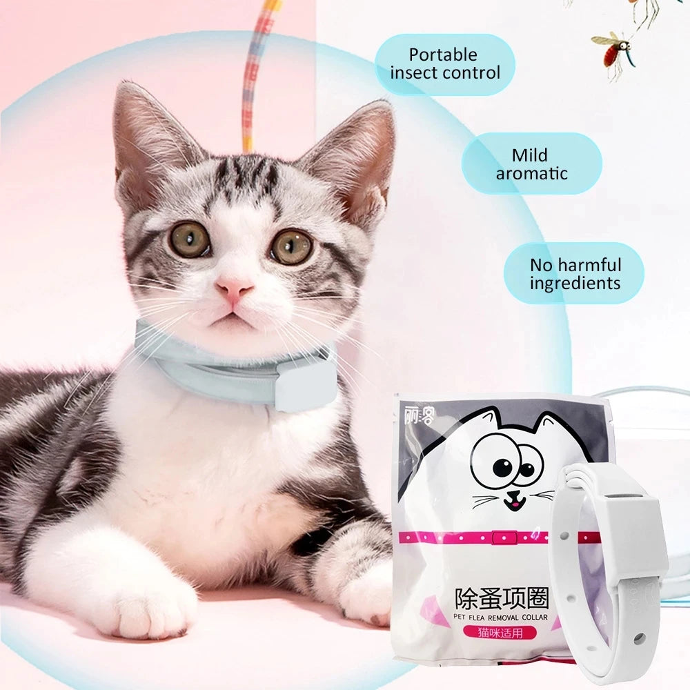 Anti Flea Tick Collar For Cat Small Dog Antiparasitic 8Month Protection Adjustable Puppy Kitten Collar Breakaway Pet Accessories